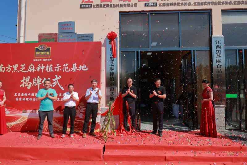 南方黑芝麻种植示范基地瑞昌揭牌：全产业链布局再升级