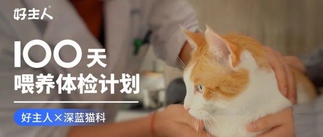 好主人100天喂养计划成功收官 分阶主粮引领精细化养宠趋势 好主人100天喂养计划成功收官 分阶主粮引领精细化养宠趋势