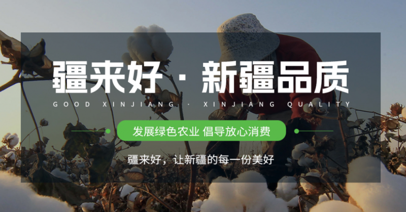 新疆疆来好电子商务有限公司是一家立足新疆,面向全国乃至全球的综合性电子商务企业。