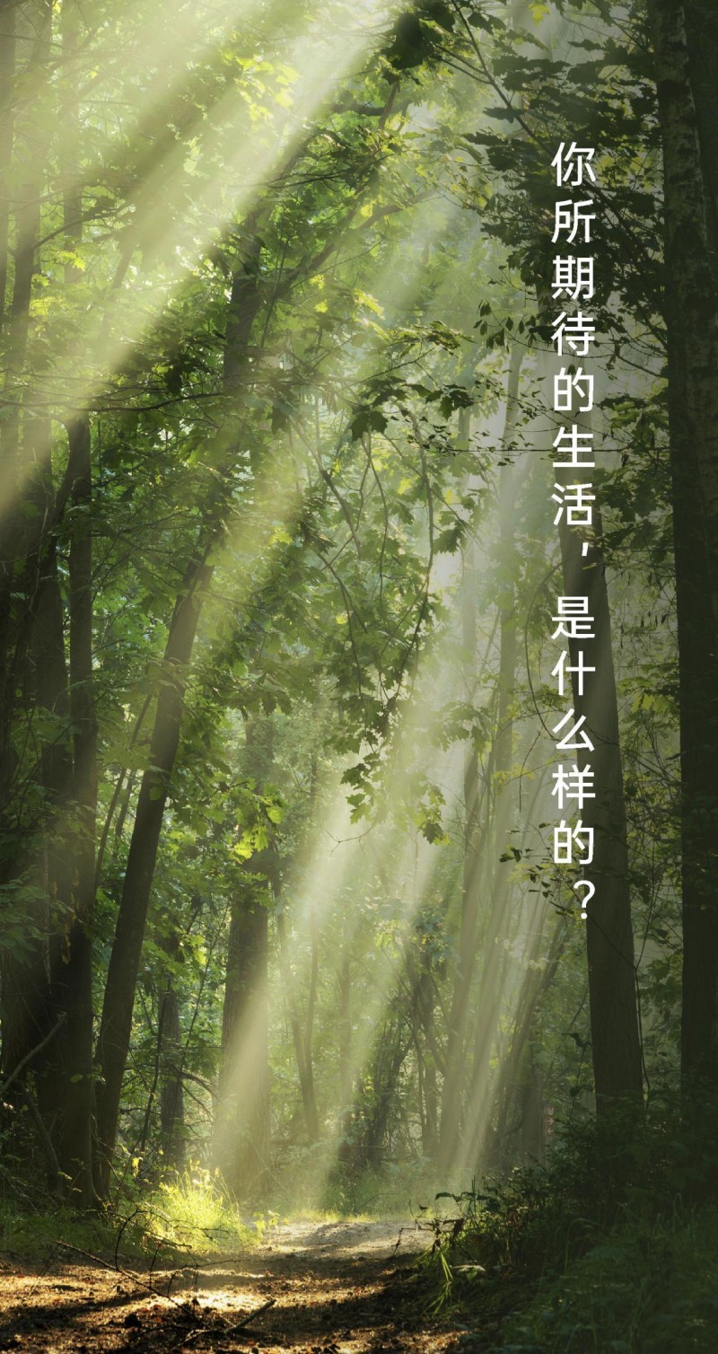 焕新启程,探索无界・医护之家品牌形象全面升级