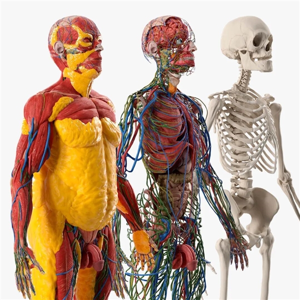 子弹卡在脂肪层 美国女子遇歹徒连中7枪奇迹生还!