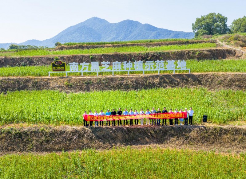 南方黑芝麻种植示范基地瑞昌揭牌：全产业链布局再升级(图2)