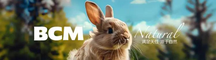 BCM 低敏益生菌兔粮:肠胃脆弱兔子的福音,改善兔兔肠胃健康!(图13) BCM 低敏益生菌兔粮:肠胃脆弱兔子的福音,改善兔兔肠胃健康!(图13)