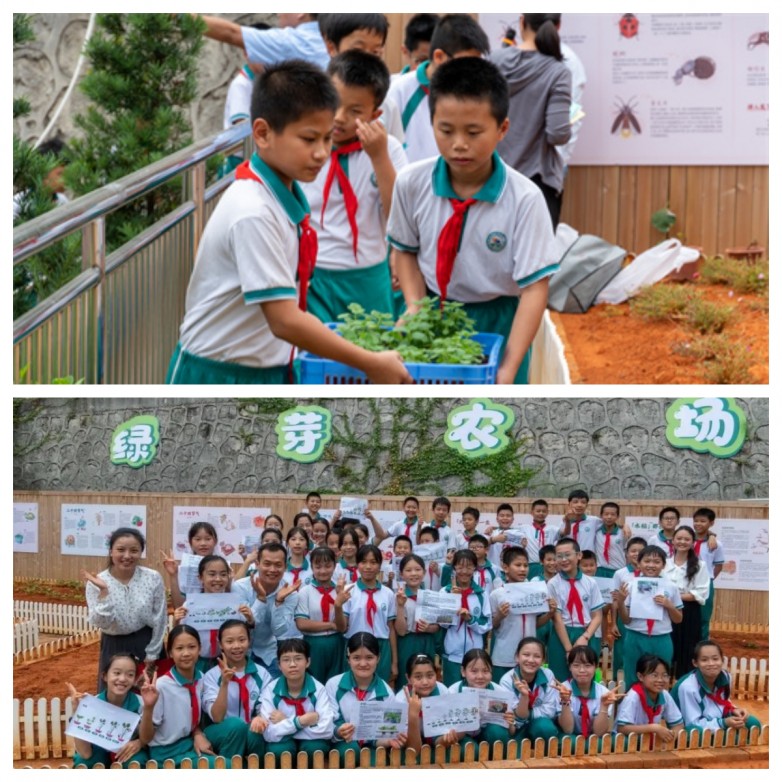 1712648788833098.jpg 韶关武江田家炳沙湖绿洲小学.jpg