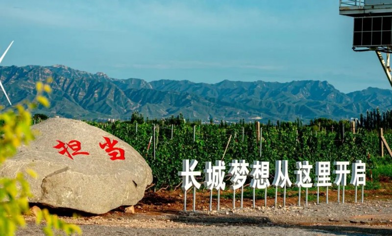 两会视角：以新质生产力激活“东方味道”(图4)