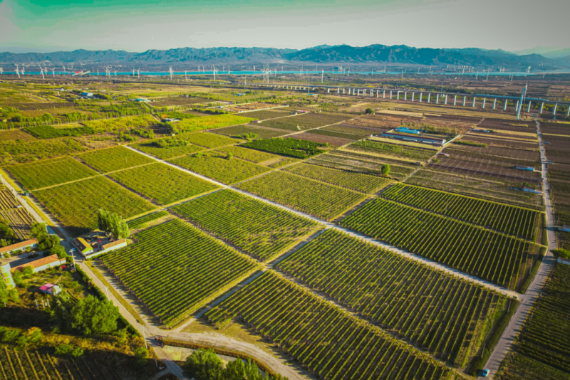 两会视角：以新质生产力激活“东方味道”(图2)