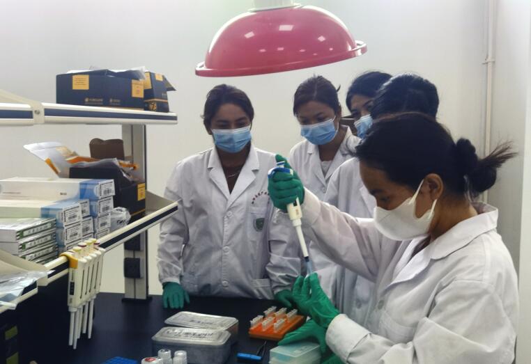 农业科技创新加"料" 新疆伽师新梅变乡村振兴"金"果(图1) 农业科技创新加"料" 新疆伽师新梅变乡村振兴"金"果(图1)