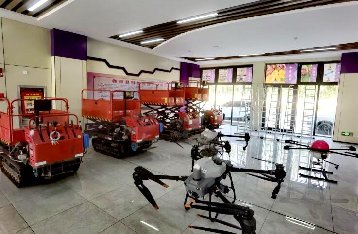 农业科技创新加"料" 新疆伽师新梅变乡村振兴"金"果(图5) 农业科技创新加"料" 新疆伽师新梅变乡村振兴"金"果(图5)